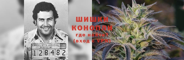 прущие грибы Балабаново