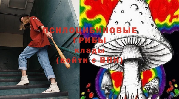 прущие грибы Балабаново