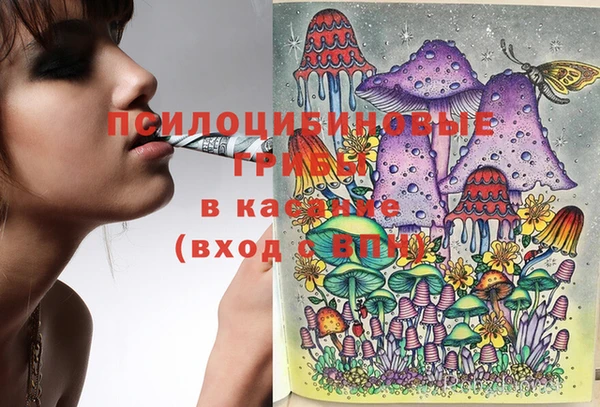 прущие грибы Балабаново