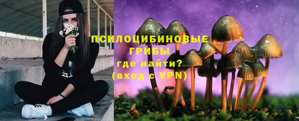 прущие грибы Балабаново