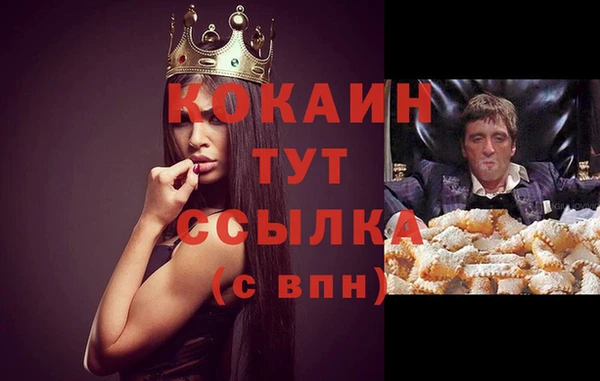прущие грибы Балабаново